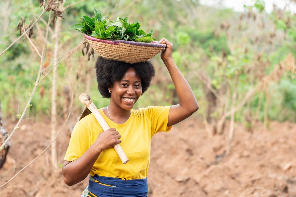 ObaaSIWA - Women farmers in Ghana